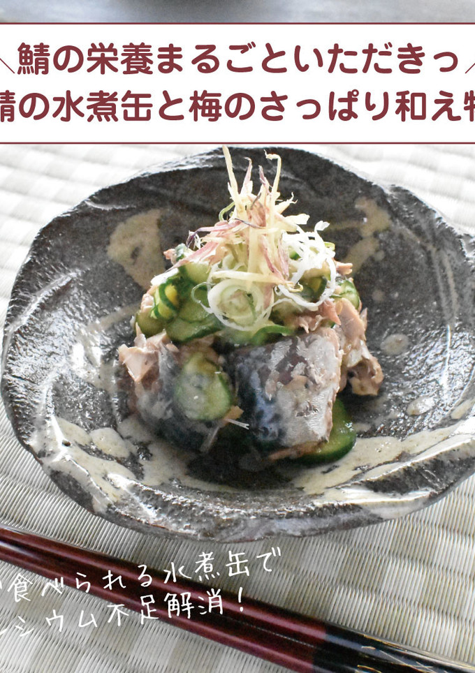 鯖の水煮缶と梅のさっぱり和え物-レシピのメイン写真