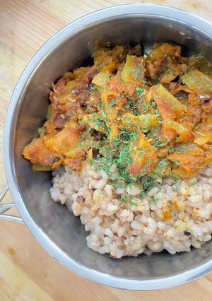 キャンプ飯★鯖味噌スパイスカレー-レシピのメイン写真