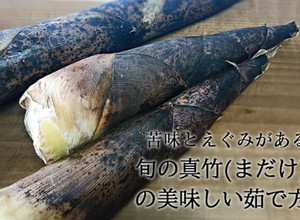 ★たけのこ（真竹）の下処理（あく抜き）★-レシピのメイン写真