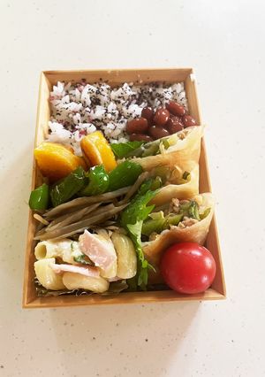 私のお弁当2023春キャベツの春巻き弁当-レシピのメイン写真