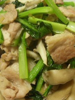 小松菜と豚肉の炒めもの-レシピのメイン写真
