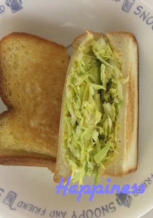 無水鍋でキャベツのホットサンド-レシピのメイン写真