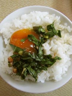 とにかく簡単 卵黄行者ニンニク醤油漬け -レシピのメイン写真