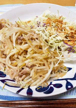 豚肉もやし調味料炒め-レシピのメイン写真