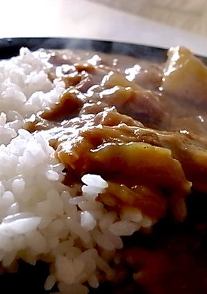 生姜ダイエット♪ジンジャーカリー-レシピのメイン写真
