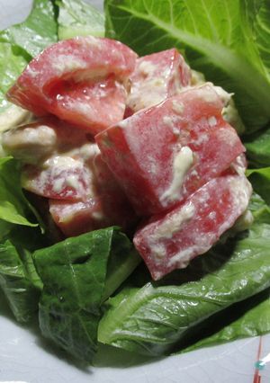 トマトと大豆のデリサラダ-レシピのメイン写真