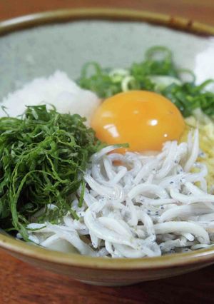 釜揚げしらすのぶっかけうどん-レシピのメイン写真
