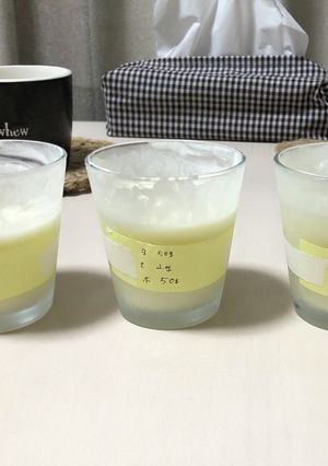 フローズンヨーグルト〜あの日食べた味〜-レシピのメイン写真