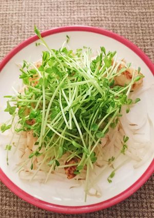 レモン麹のササミ焼き〜もやしと豆苗もっ！-レシピのメイン写真