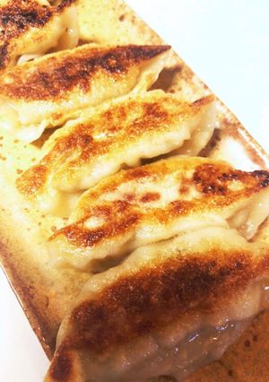 新玉ねぎで♡野菜たっぷり餃子-レシピのメイン写真