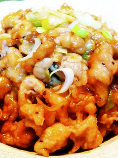 ***ネギ豚丼***-レシピのメイン写真