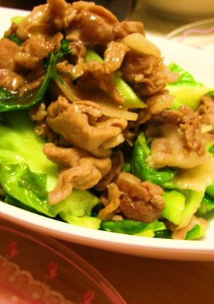 キャベツと豚肉の生姜炒め-レシピのメイン写真