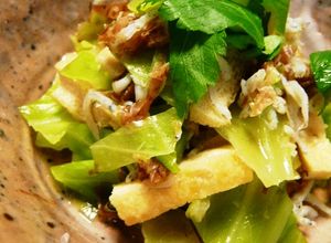 キャベツと揚げとしらすの煮びたし-レシピのメイン写真