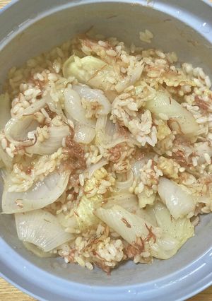 レンジ・新玉ねぎニューコンミート飯-レシピのメイン写真
