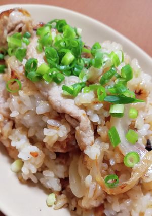 豚肉と玉ねぎのガーリックライス-レシピのメイン写真