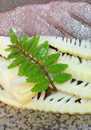 筍の刺身-レシピのメイン写真