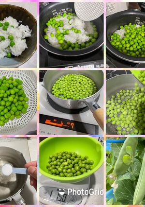 えんどう豆ご飯（2023）-レシピのメイン写真