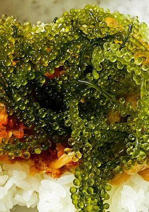 海ぶどう納豆キムチ丼-レシピのメイン写真
