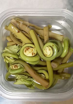 ぜんまいの下処理【行程画像付き】-レシピのメイン写真
