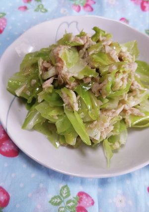 パパっとお弁当に！春キャベツのツナサラダ-レシピのメイン写真