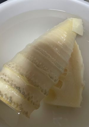 筍ご飯-レシピのメイン写真