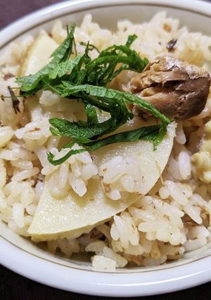 筍とサバ味噌缶の炊き込み御飯-レシピのメイン写真