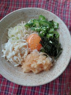 さっぱり冷やしうどん-レシピのメイン写真