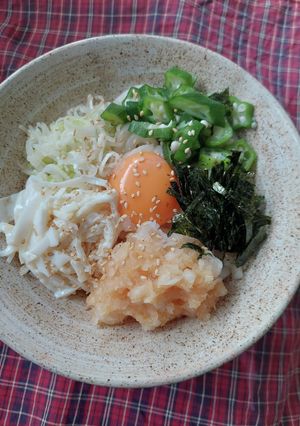 さっぱり冷やしうどん-レシピのメイン写真