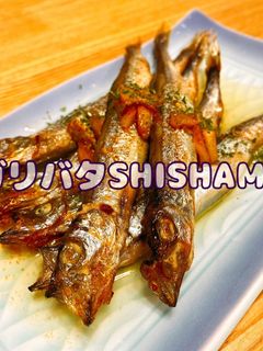 ガリバタSHISHAMO 簡単おつまみ-レシピのメイン写真