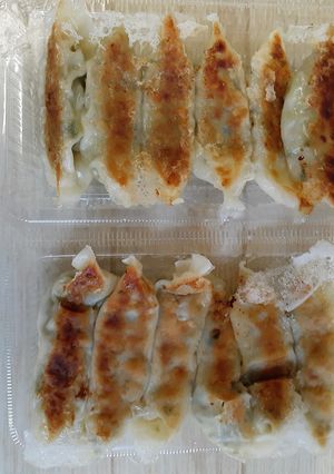 茹野菜で餃子作り卵焼き用フライパンで焼く-レシピのメイン写真