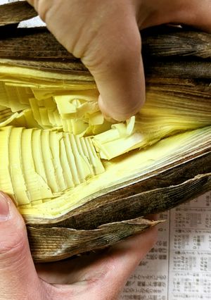 【覚書】3分で完了！一気に筍を皮剥く方法-レシピのメイン写真