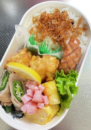 JK15分で5品弁当3-レシピのメイン写真
