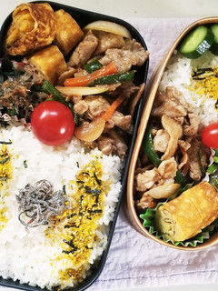 野菜炒め弁当(4.20)-レシピのメイン写真
