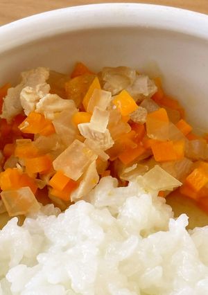 【保育園離乳食中期】鶏肉と野菜のつぶし煮-レシピのメイン写真