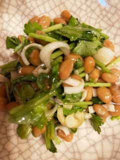 パクチー納豆-レシピのメイン写真