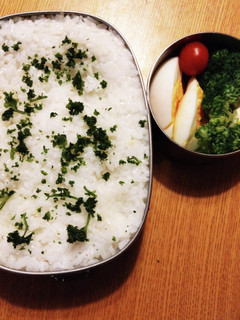 これでもカレー弁当なんですよー-レシピのメイン写真