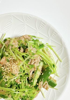 栄養満点!豆苗とツナの梅サラダ-レシピのメイン写真