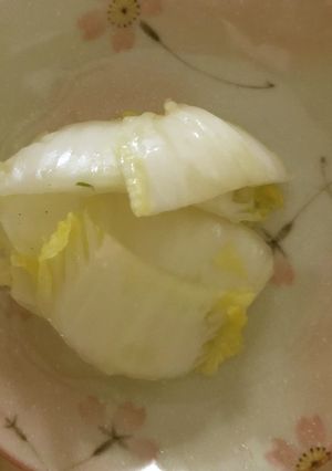 塩麹、寿司酢、鷹の爪の白菜の浅漬け-レシピのメイン写真