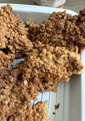 はちみつオートミールクッキー-レシピのメイン写真