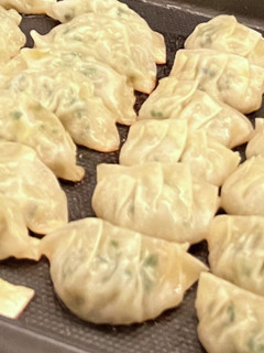 ホットプレートで!簡単野菜たっぷり餃子-レシピのメイン写真