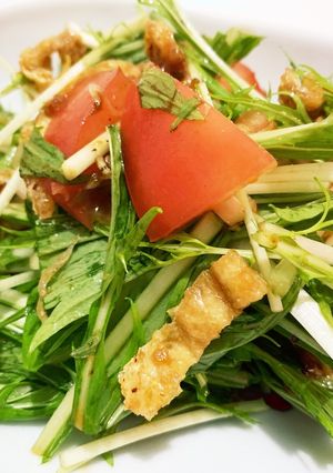 簡単黒酢と水菜のじゃこサラダ-レシピのメイン写真