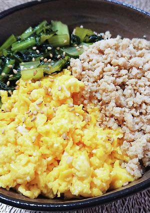 スタミナ源たれ&りんご酢 さっぱり三色丼-レシピのメイン写真