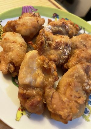 アラジントースターで簡単鶏の唐揚げ-レシピのメイン写真