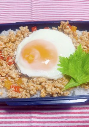 時短お弁当盛り付け記録　ガパオライス-レシピのメイン写真