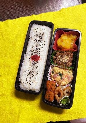 高校生男子弁当20230425-レシピのメイン写真