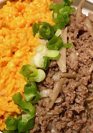 かるしお®牛そぼろの２色丼-レシピのメイン写真