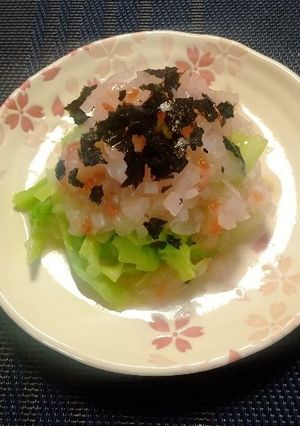 春キャベツの新玉ねぎドレッシングがけ-レシピのメイン写真