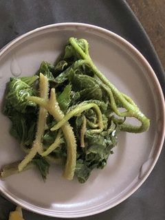 うどの葉っぱのごま油炒め-レシピのメイン写真