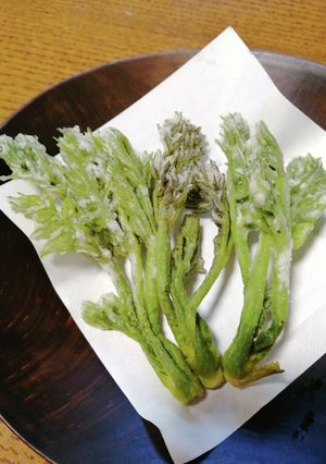 タラの芽の天ぷら#ご当地グルメ-レシピのメイン写真