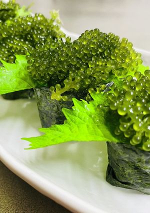沖縄の絶品グルメ・海ぶどう軍艦巻き-レシピのメイン写真